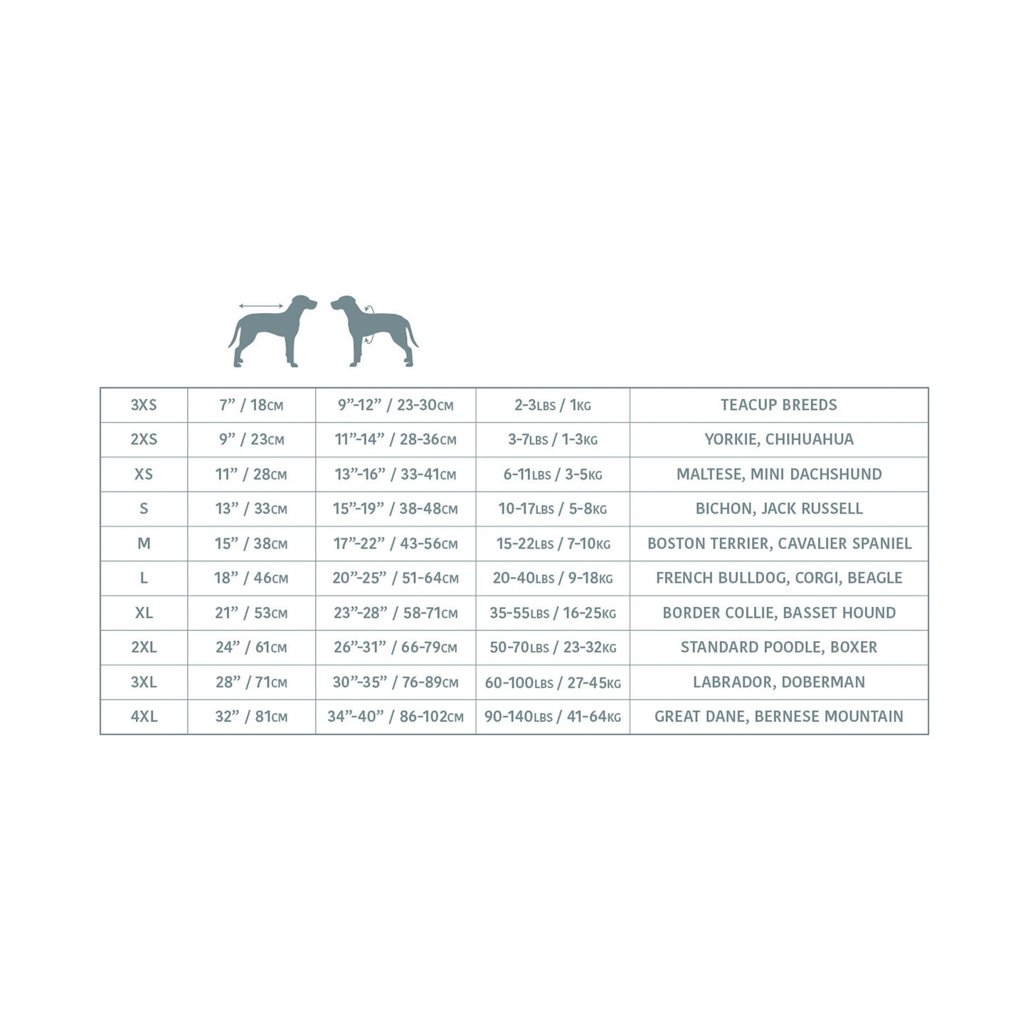 Dog size chart with measurements and breed categories on a white background