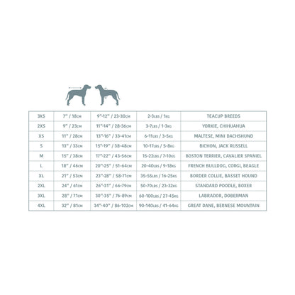 Dog size chart with measurements and breed categories on a white background