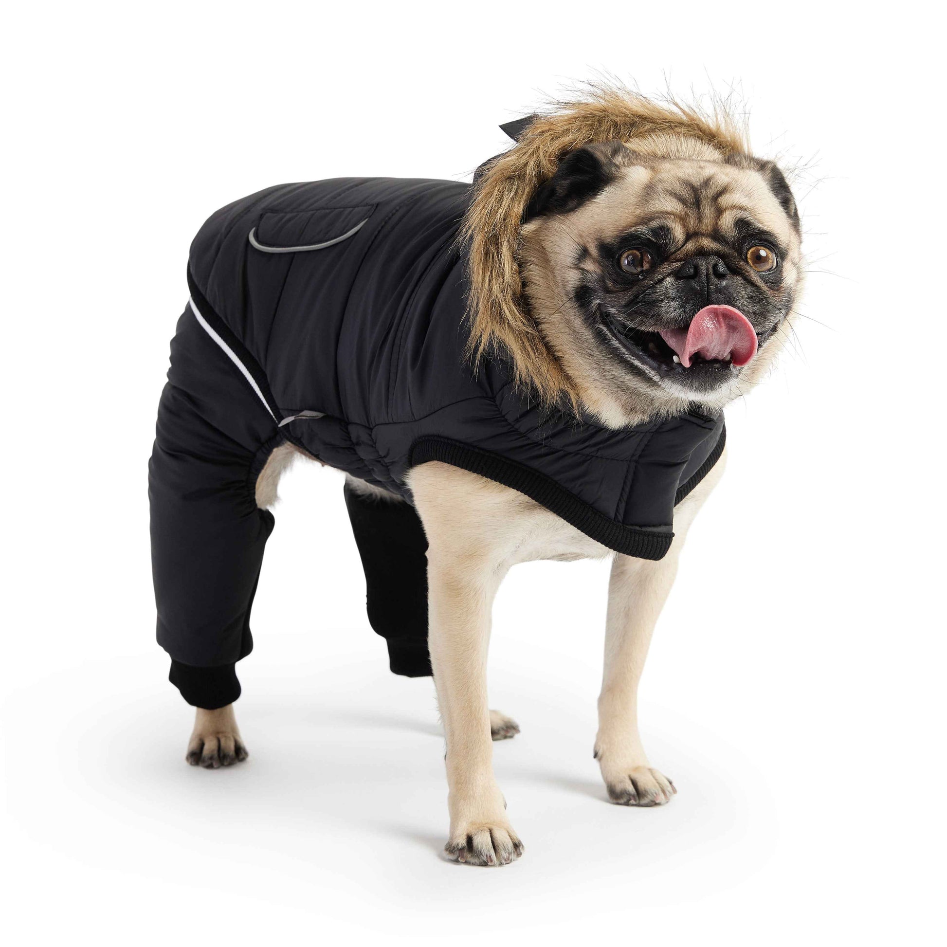Creekside Snowsuit - Black on light brown dog