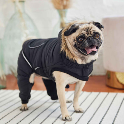 Creekside Snowsuit - Black on light brown dog in living room