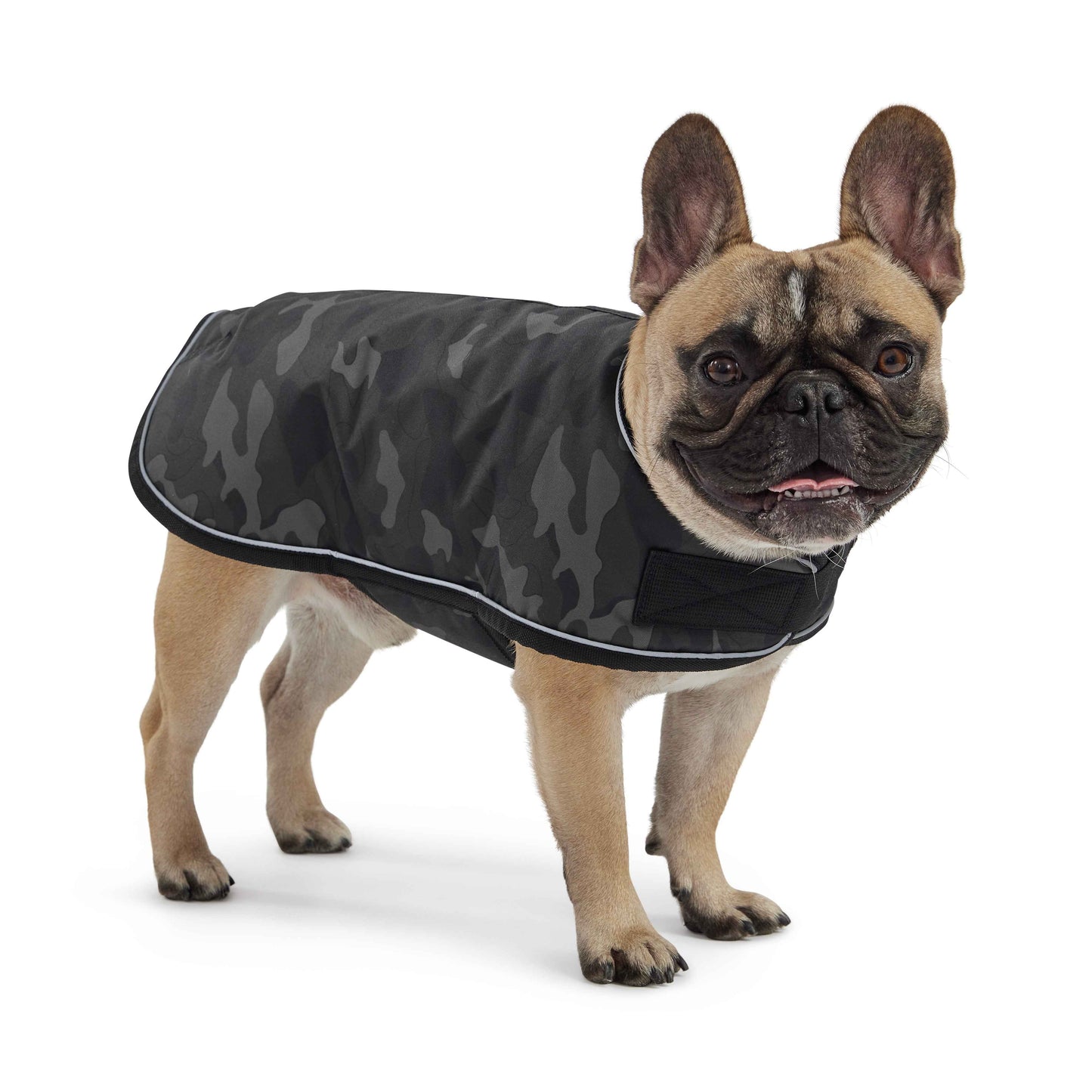 Blanket Jacket - Camo on small brown dog