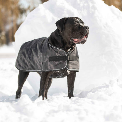 Blanket Jacket - Camo on black dog in snow