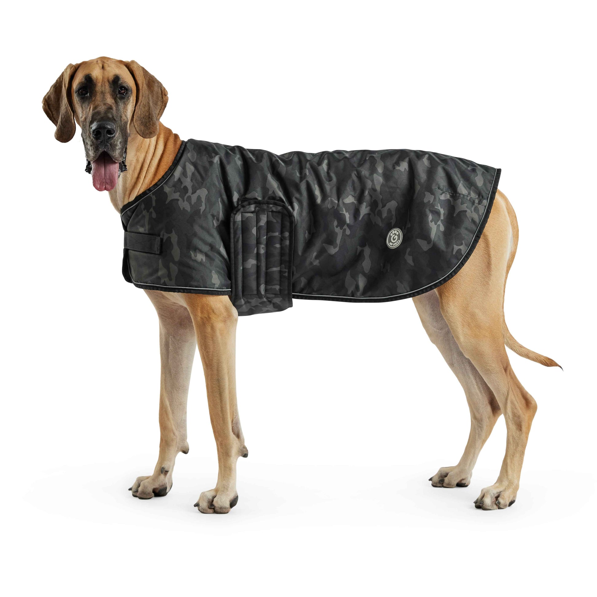 Blanket Jacket - Camo on large brown dog