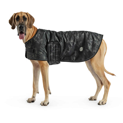 Blanket Jacket - Camo on large brown dog
