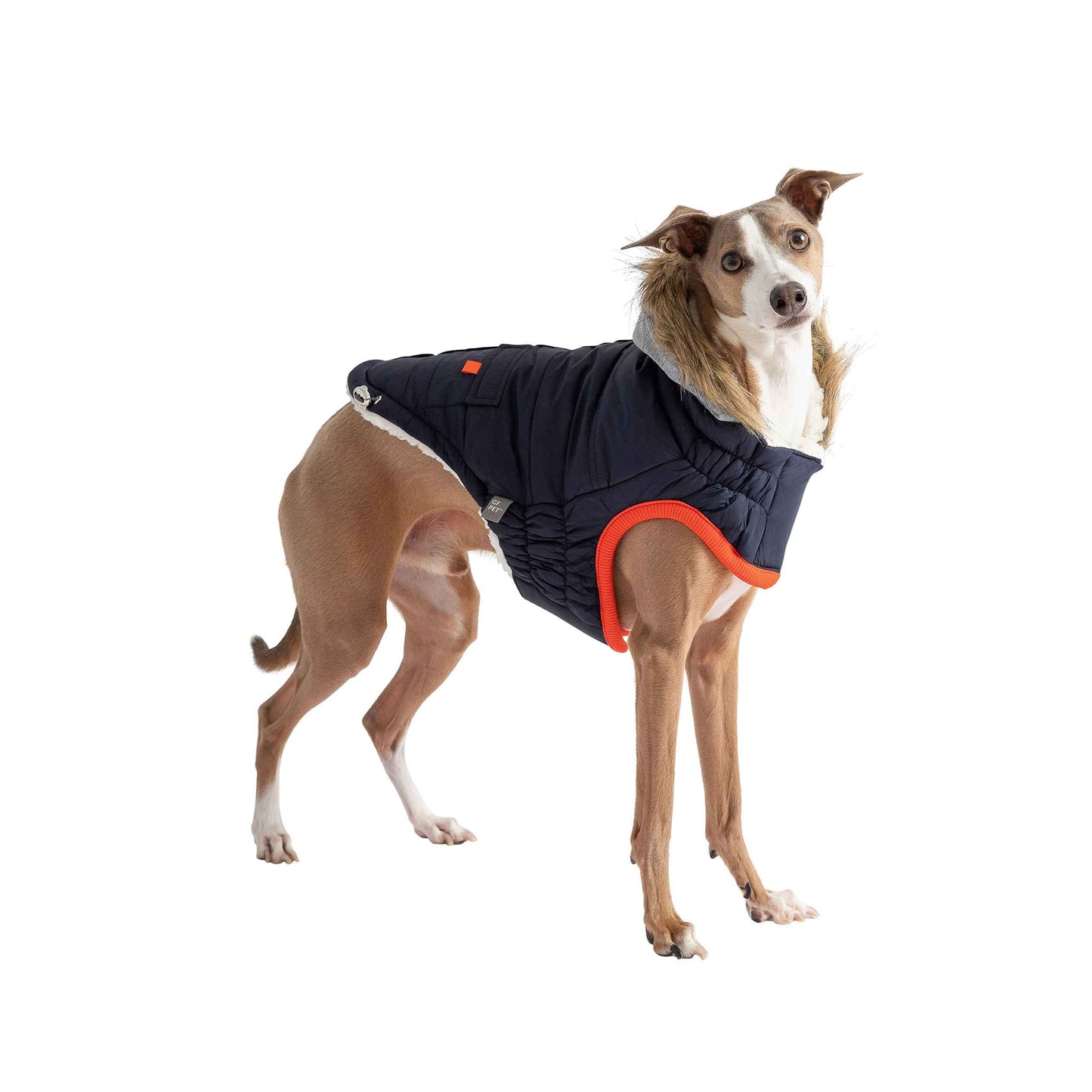 Winter Sailor Parka - Navy on brown dog