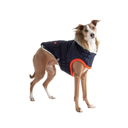 Winter Sailor Parka - Navy on brown dog