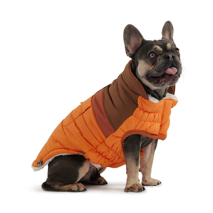 Camplife Puffer - Orange on small dog