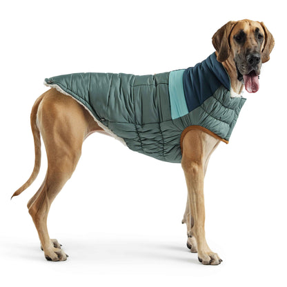 Camplife Puffer - Sage on large brown dog