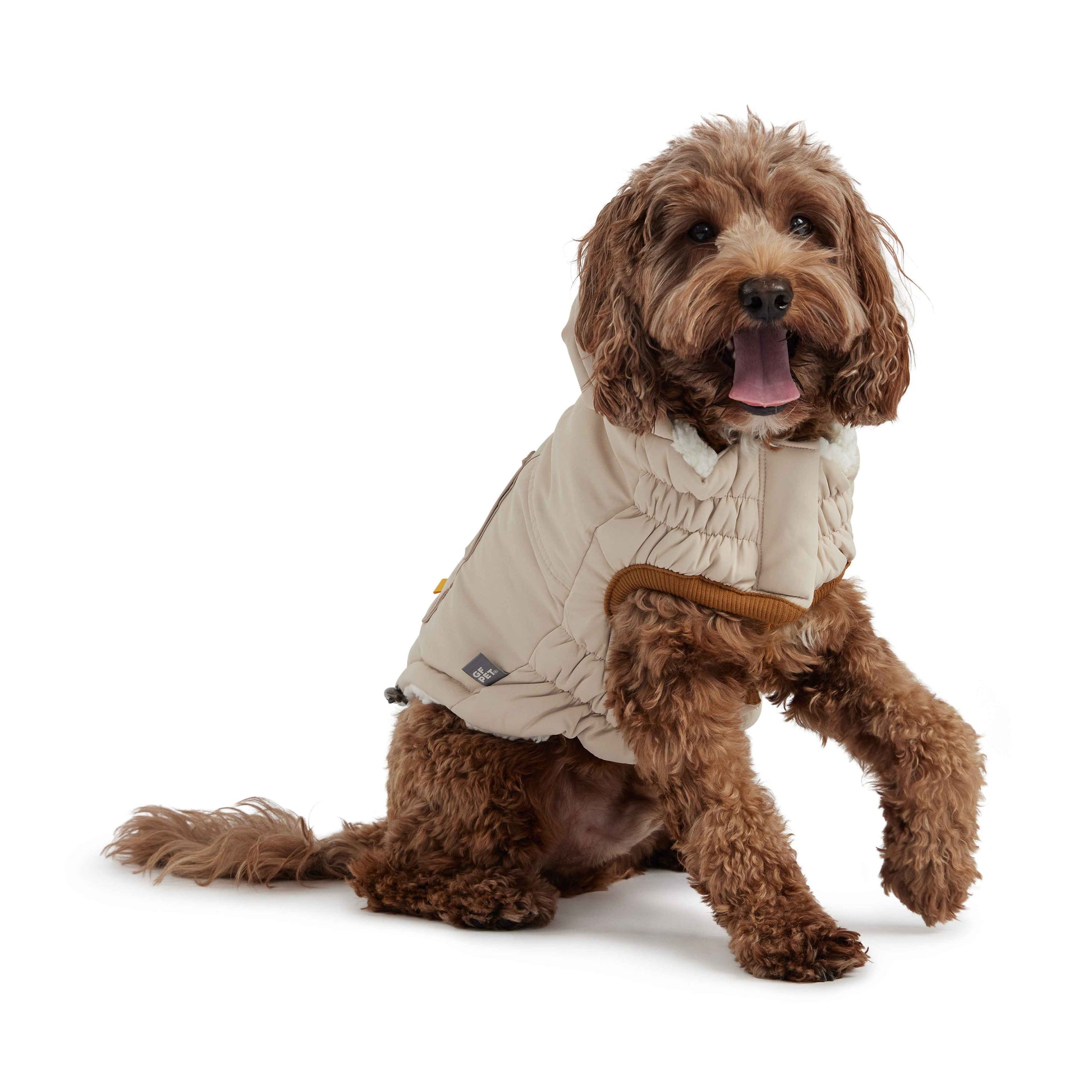 Arctic Parka - Sand on brown dog with white background