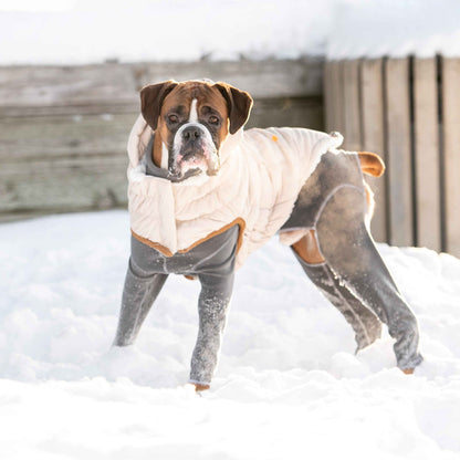 Arctic Parka - Sand on boxer dog in snow
