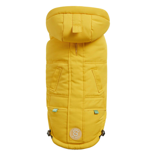 Arctic dog Parka - Yellow on white background