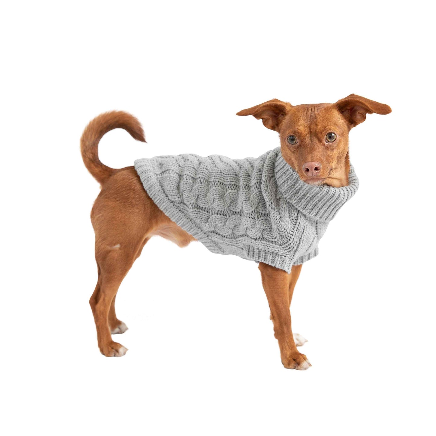 Chalet Sweater - Grey on brown dog