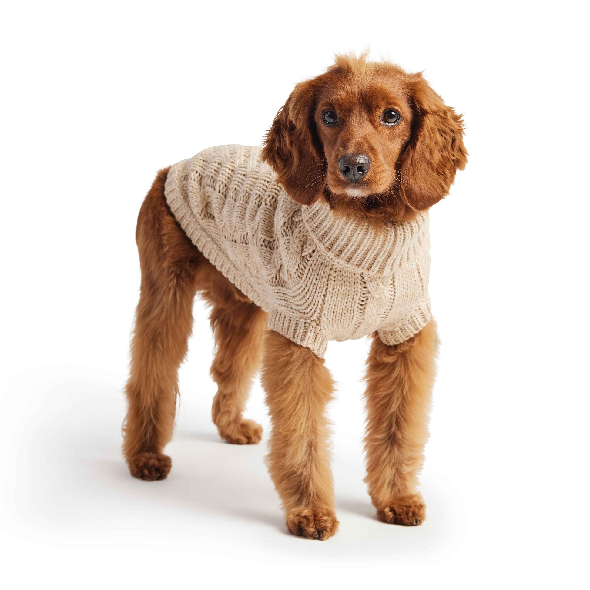 Chalet Sweater - Oatmeal on brown dog