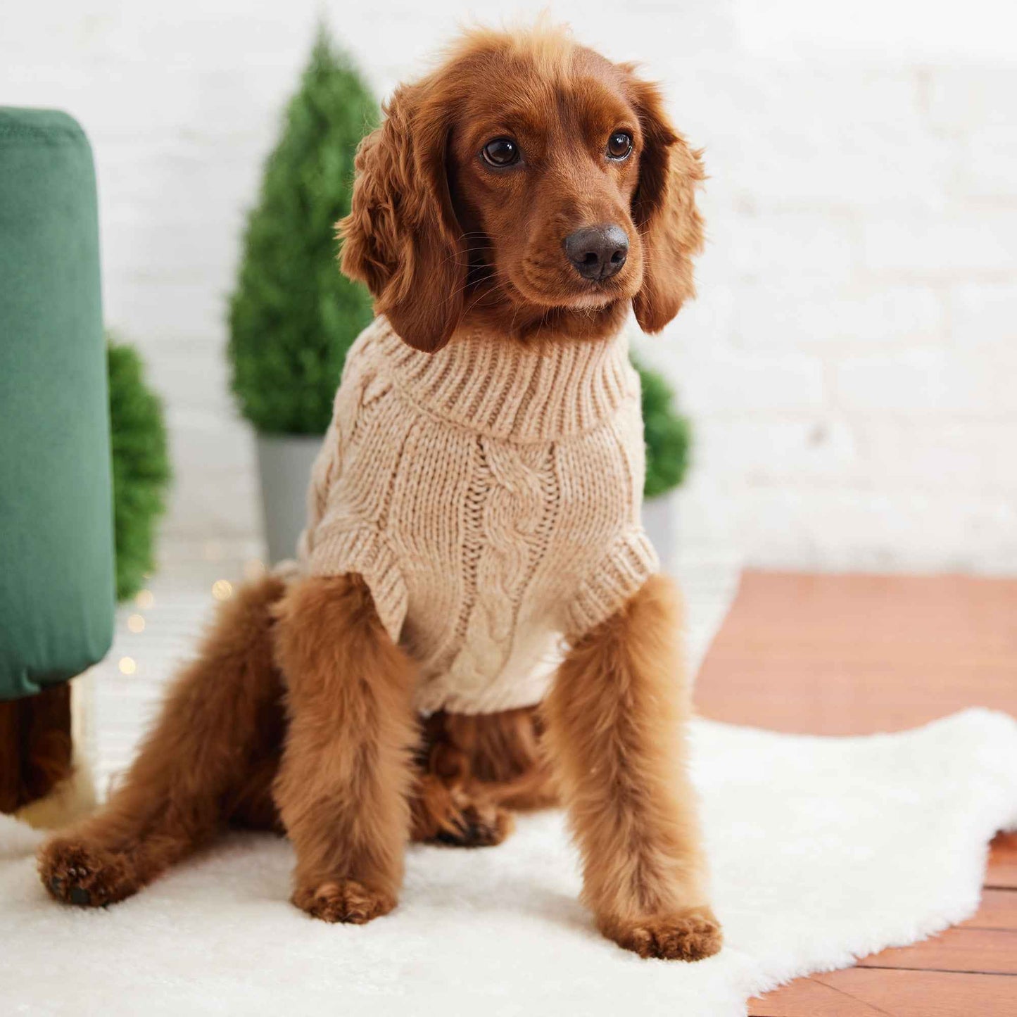 Chalet Sweater - Oatmeal on brown dog on rug
