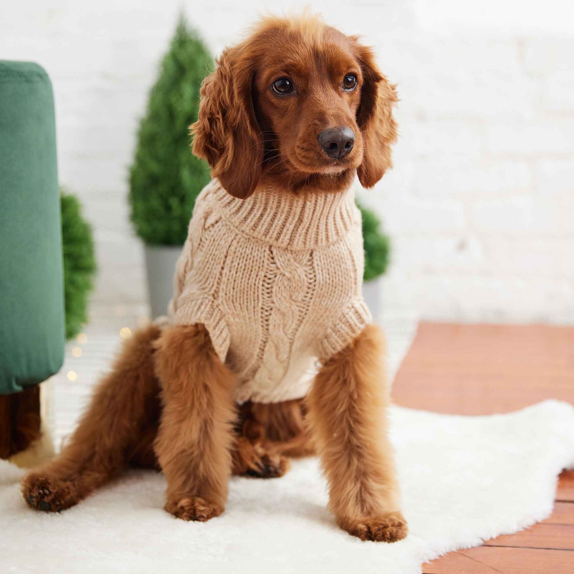 Chalet Sweater - Oatmeal on brown dog on rug