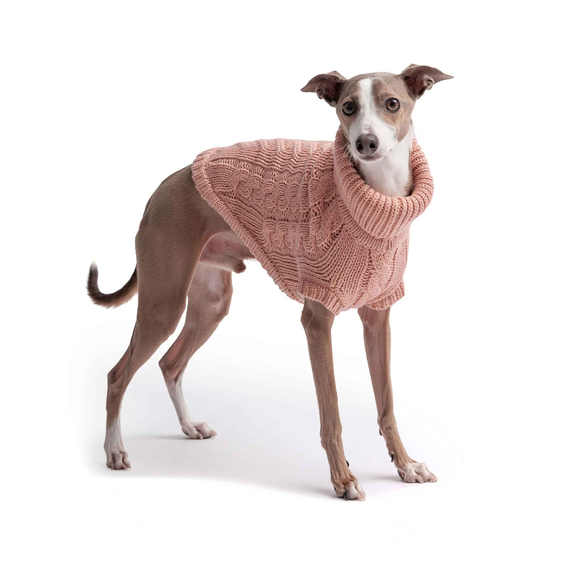 Chalet Sweater - Pink on brown and white dog