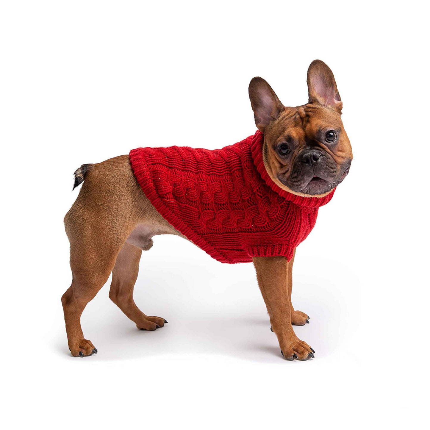 Chalet Sweater - Red on brown dog