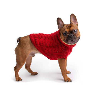 Chalet Sweater - Red on brown dog