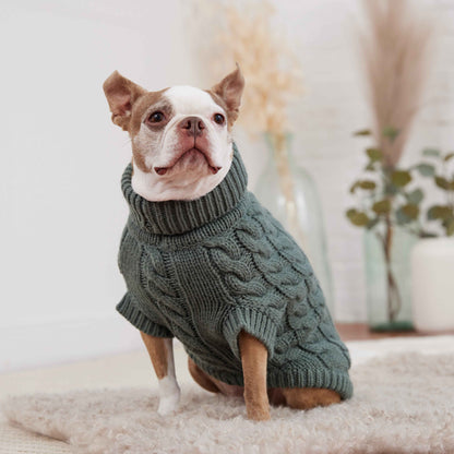 Dog wearing a green sweater sitting on a carpeted floor with a blurred indoor background