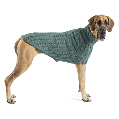 Dog wearing a green sweater on a white background