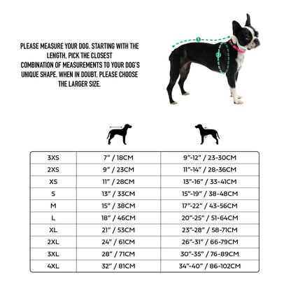Dog size chart with measurements and a dog model on a white background