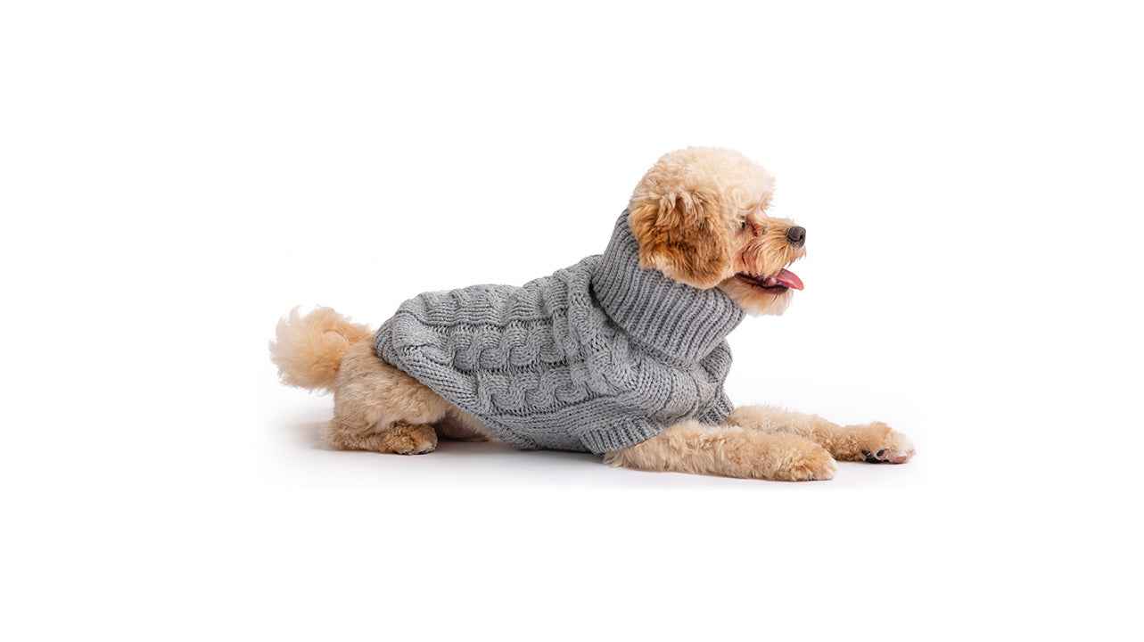 Chalet Sweater - Grey on brown fluffy dog