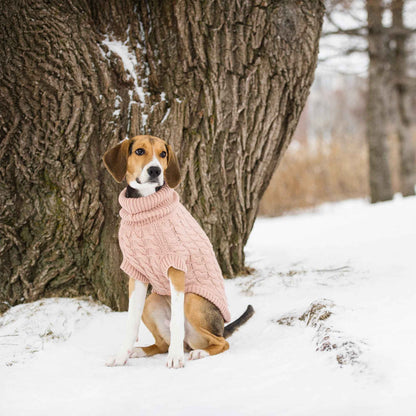 Chalet Sweater - Pink on brown and white larger dog outside next to tree in snow