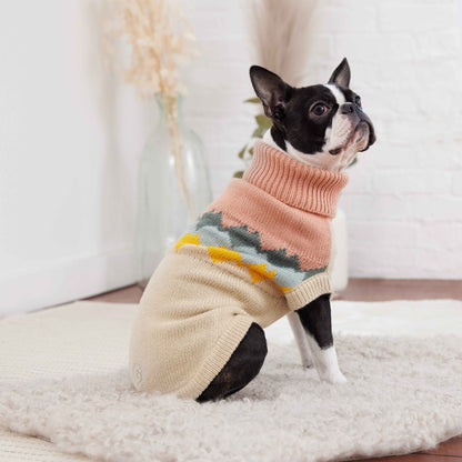 Dog wearing a colorful sweater sitting on a carpeted floor.