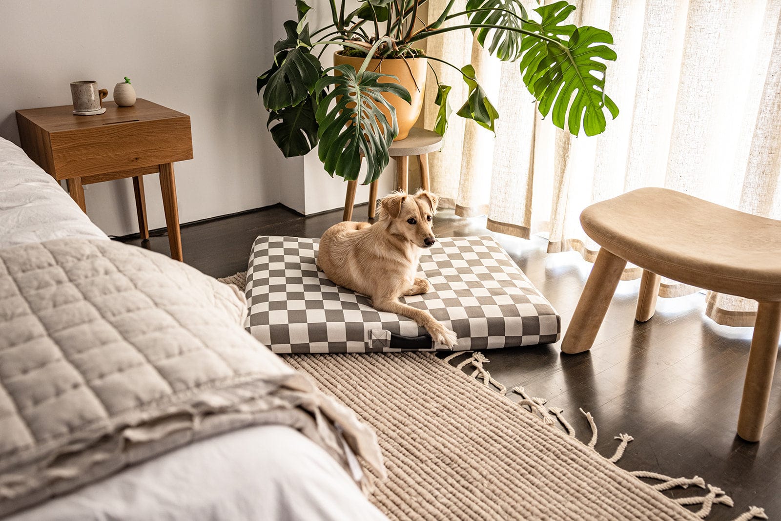 Gray Checker Orthopedic Dog Bed Dog