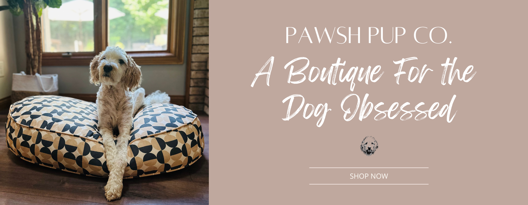 Dog on bed with Pawsh Pup Co A Boutique for the Dog Obsessed and Shop Now button