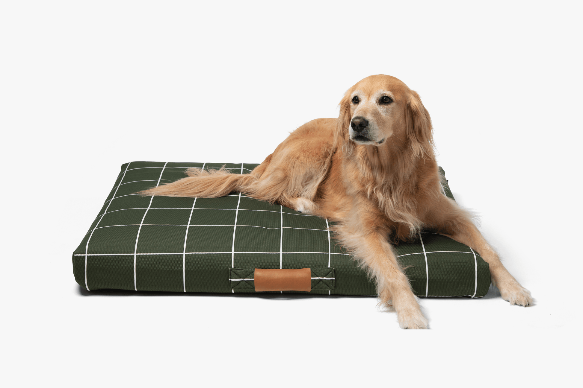 Hunter Green Grid Orthopedic Dog Bed Dog