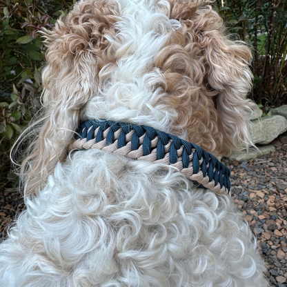 White fluffy dog with dog collar with navy blue and light tan braided design 