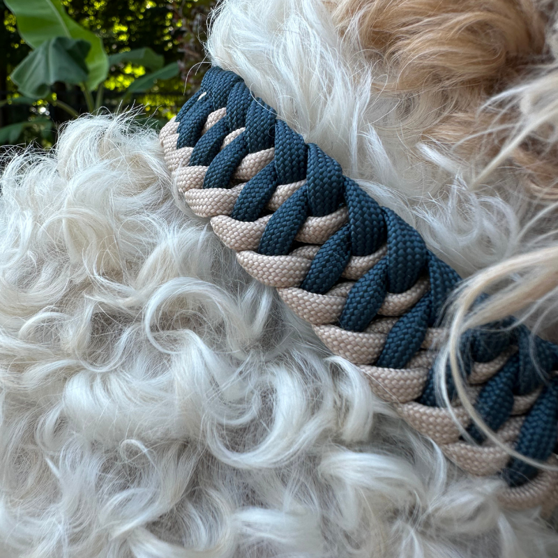 White fluffy dog with dog collar with navy blue and light tan braided design 
