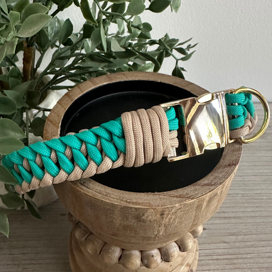 Teal and beige braided dog leash with gold clasp on a wooden stand, plant in the background