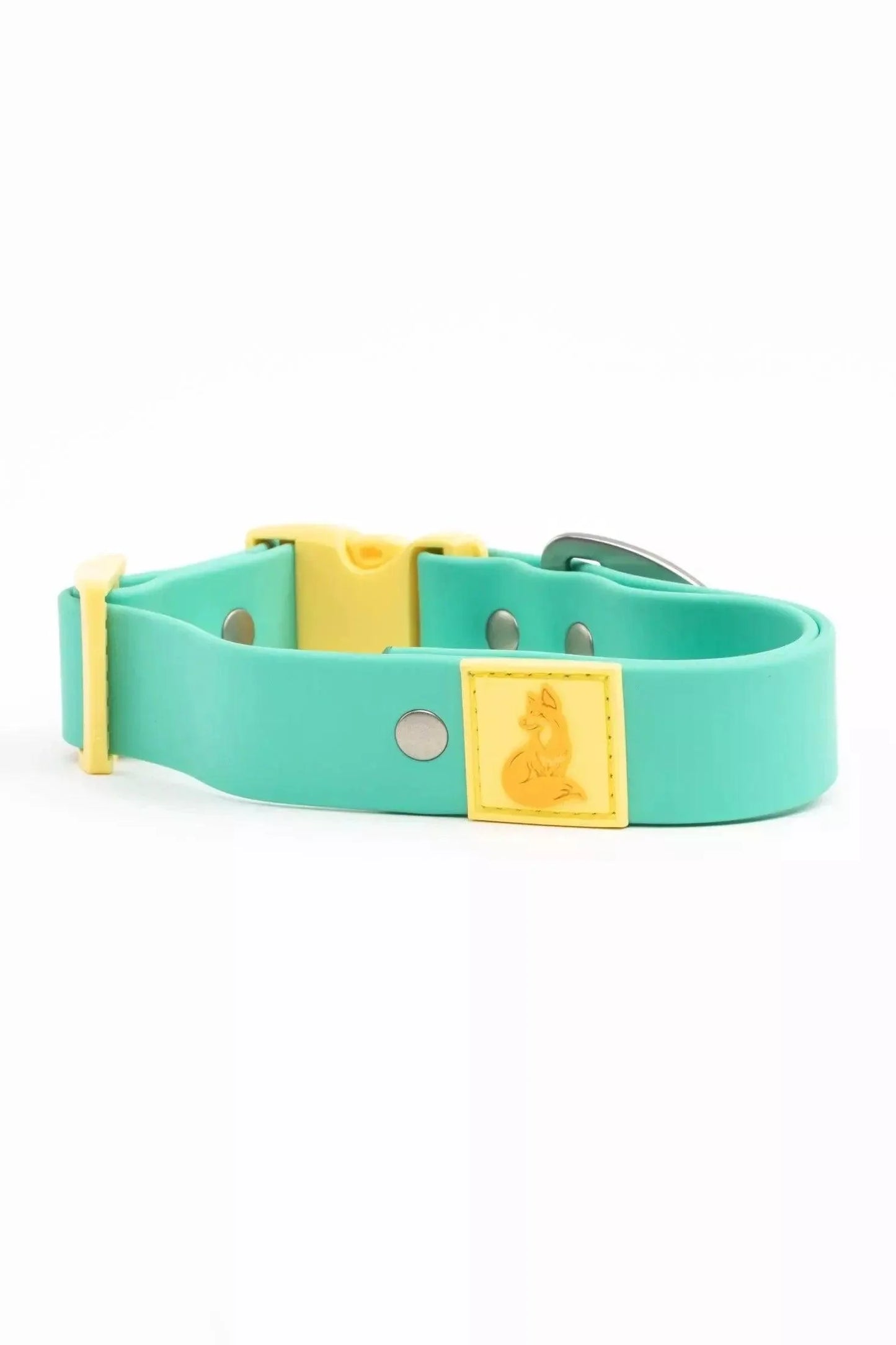 Turquoise dog collar with yellow accents on a white background