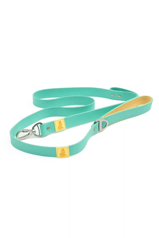 Turquoise dog leash with yellow accents on a white background
