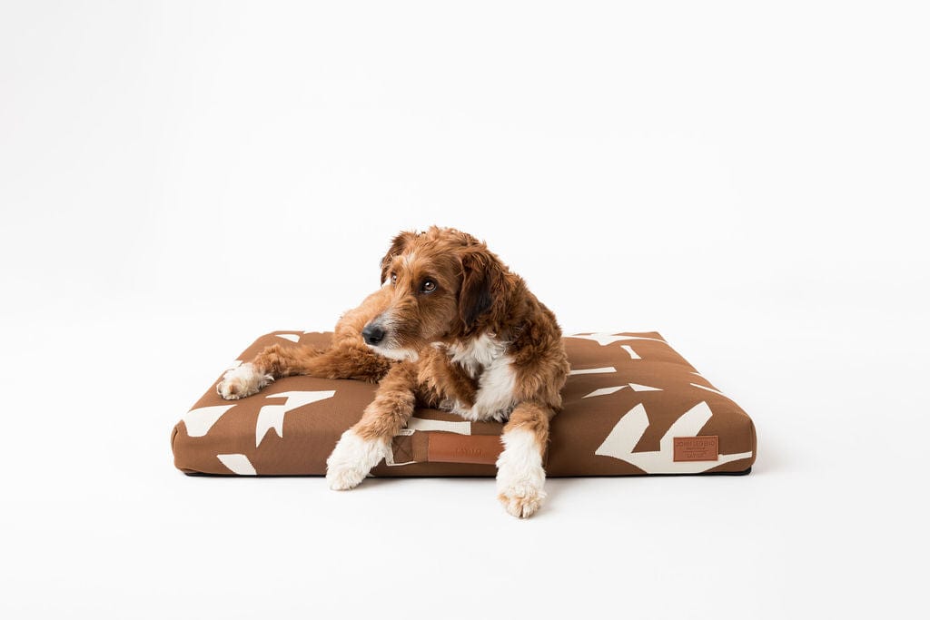 John Legend Brown Fragment Dog Bed Dog