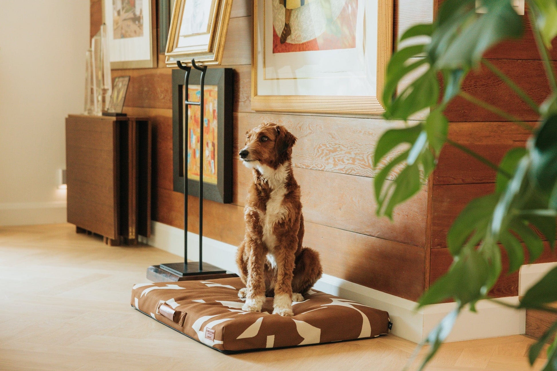 John Legend Brown Fragment Dog Bed Dog