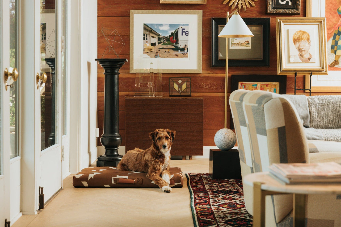 John Legend Brown Fragment Dog Bed Dog in Living Room