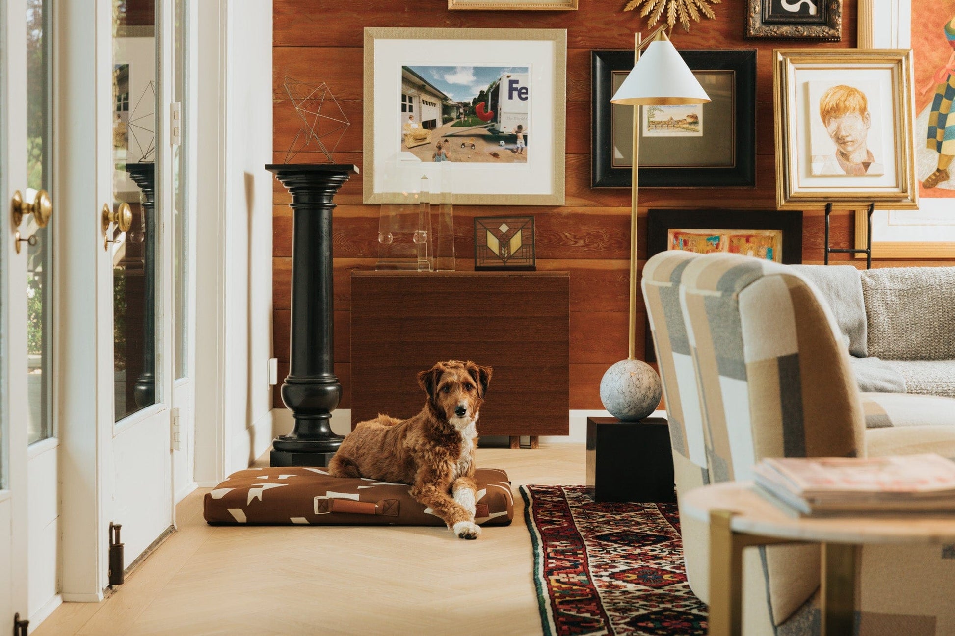 John Legend Brown Fragment Dog Bed Dog in Living Room