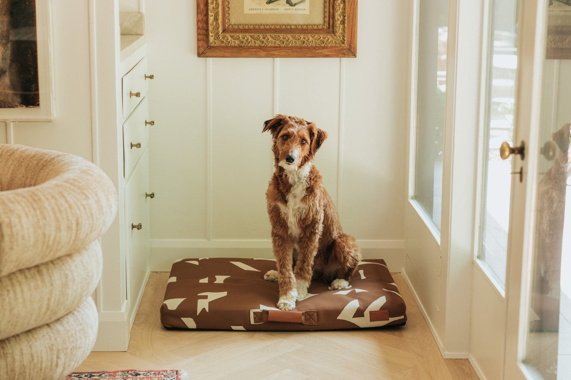 John Legend Brown Fragment Dog Bed Dog in Room