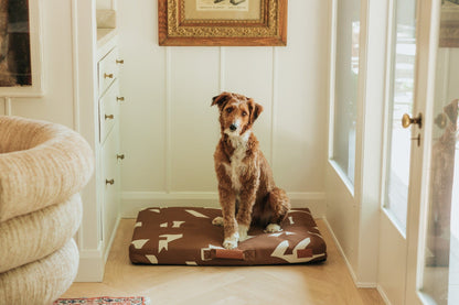 John Legend Brown Fragment Dog Bed Dog in Room