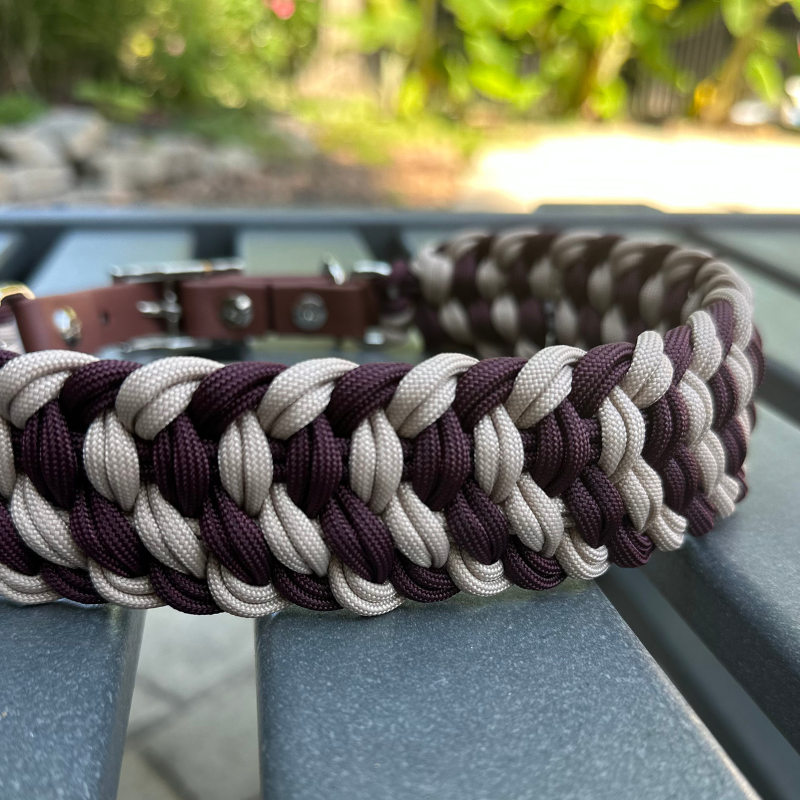 Dog collar with braided design in burgundy and light tan with medium brown BioThane strap on a gray surface outdoors.