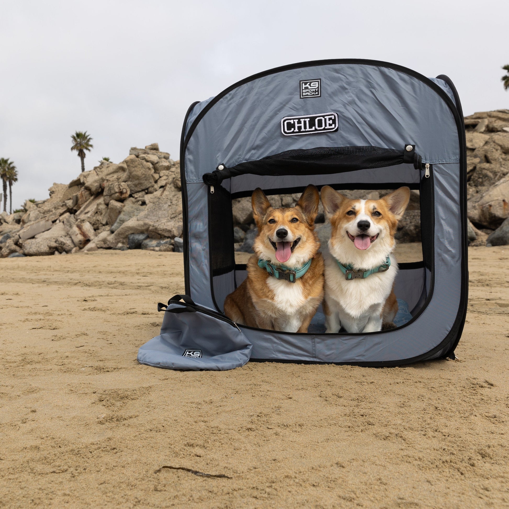 Pet carrier with two dogs on a beach