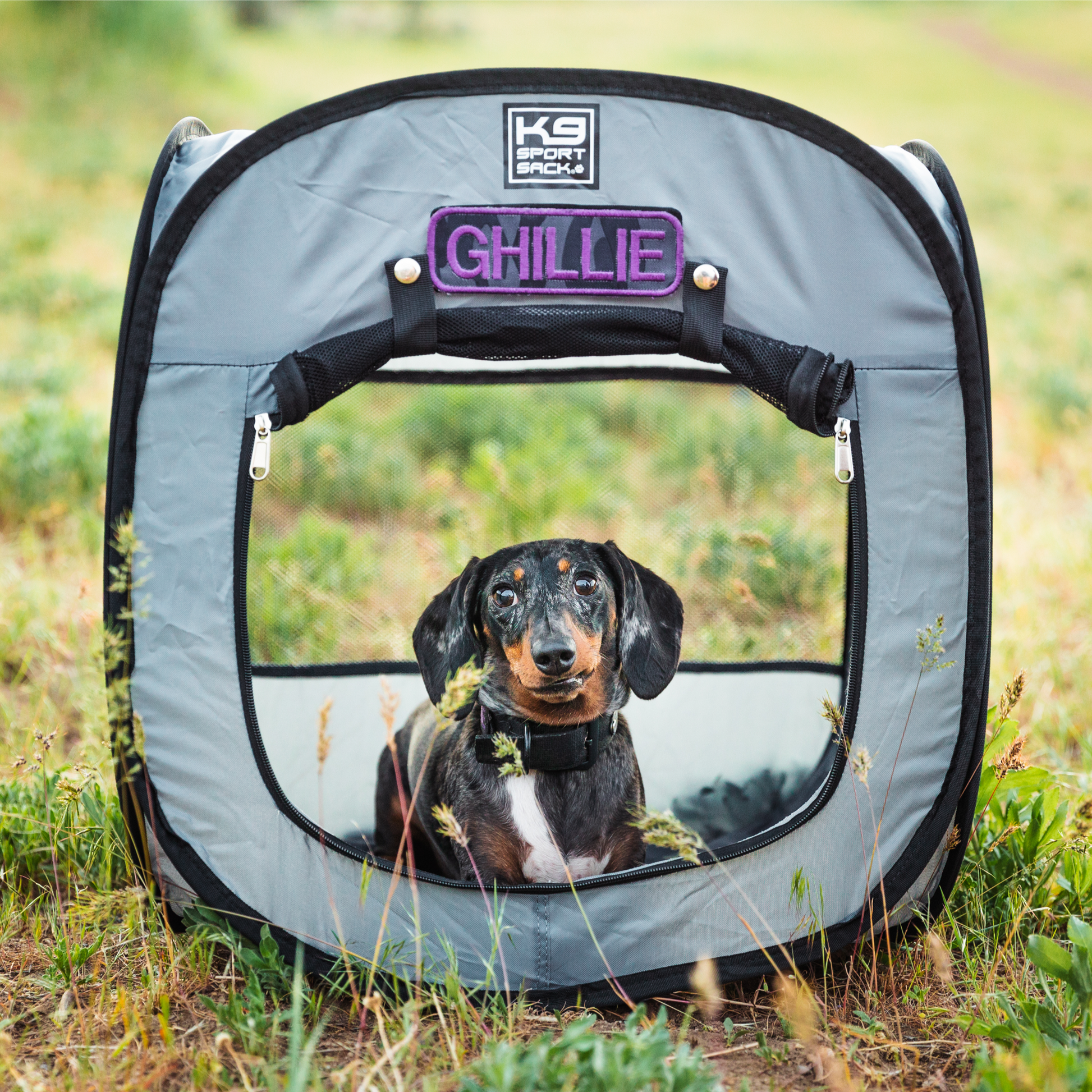 Dog inside a gray pet carrier with 'K9 Comfy Co' branding in an outdoor setting.
