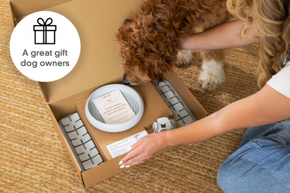 Person opening a box with pet products, including a bowl and treats, on a carpeted floor with a dog nearby.
