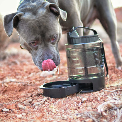Large Dog Travel Water Bowl Dispenser Dog