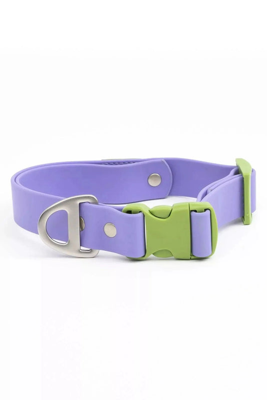 Purple dog collar with a green buckle on a white background