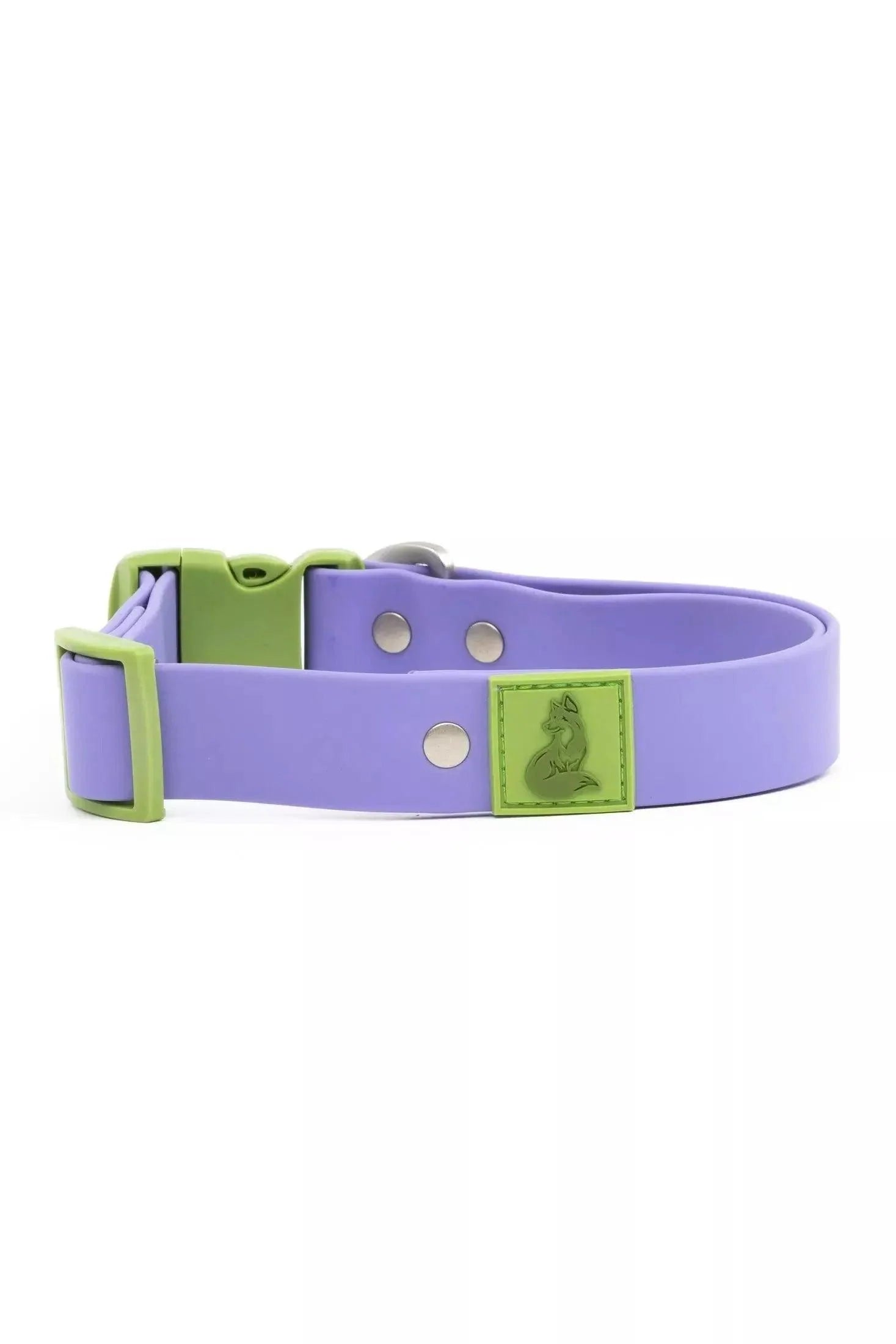 Purple dog collar with green accents on a white background