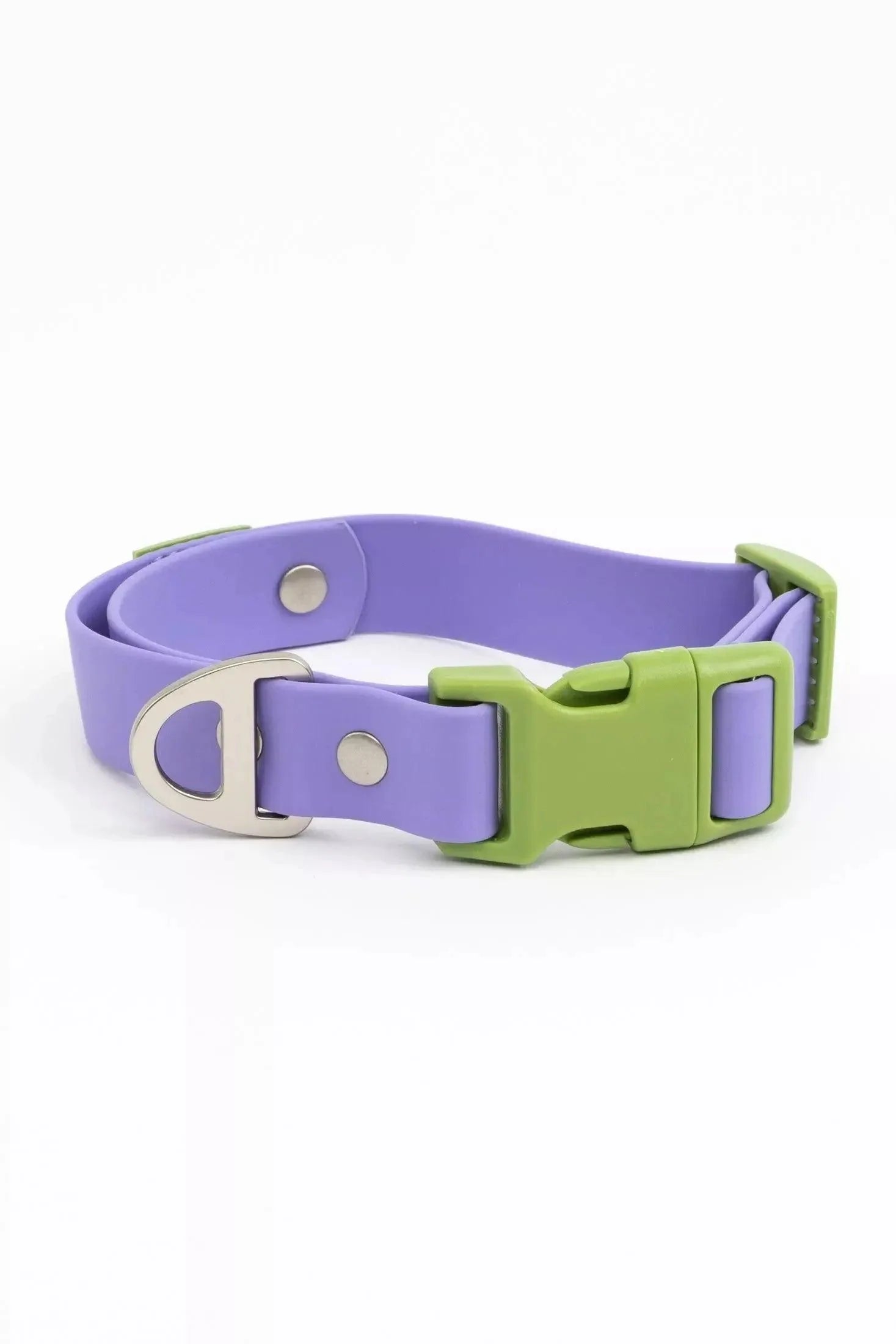 Purple and green dog collar with a silver buckle on a white background